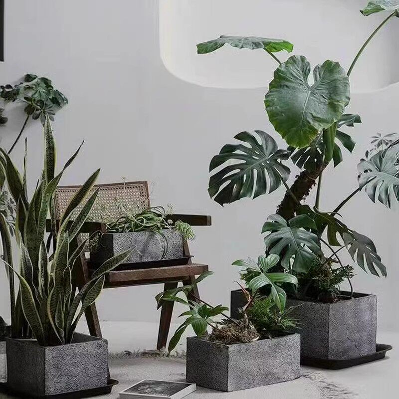 植缘艺 店铺LOGO