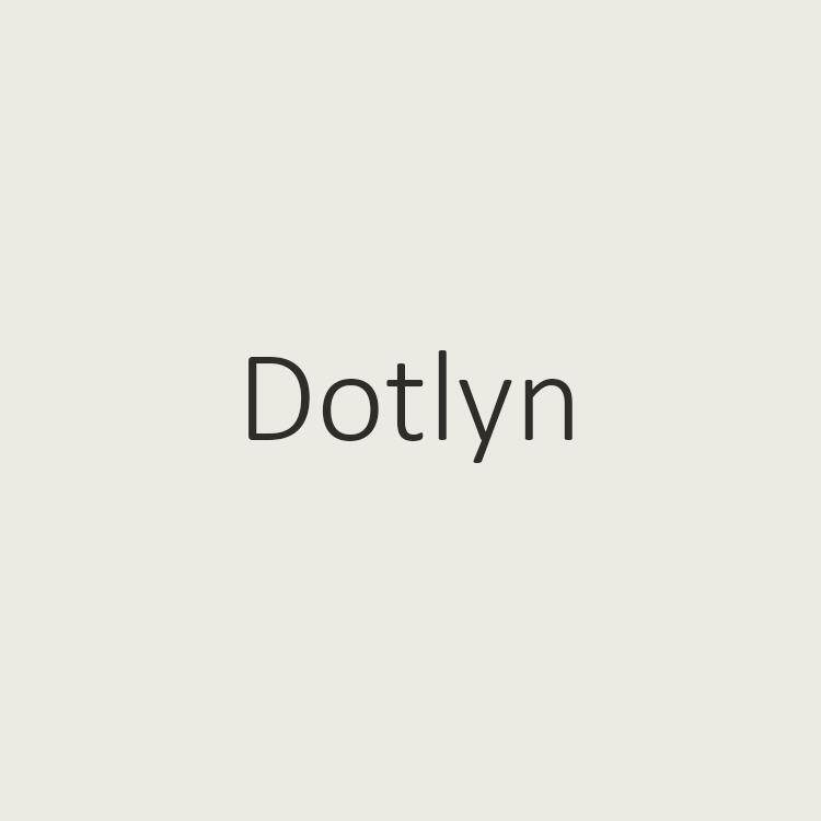 Dotlyn原创小众女包