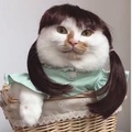 宝钰轩