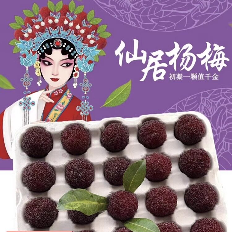东魁杨梅果园