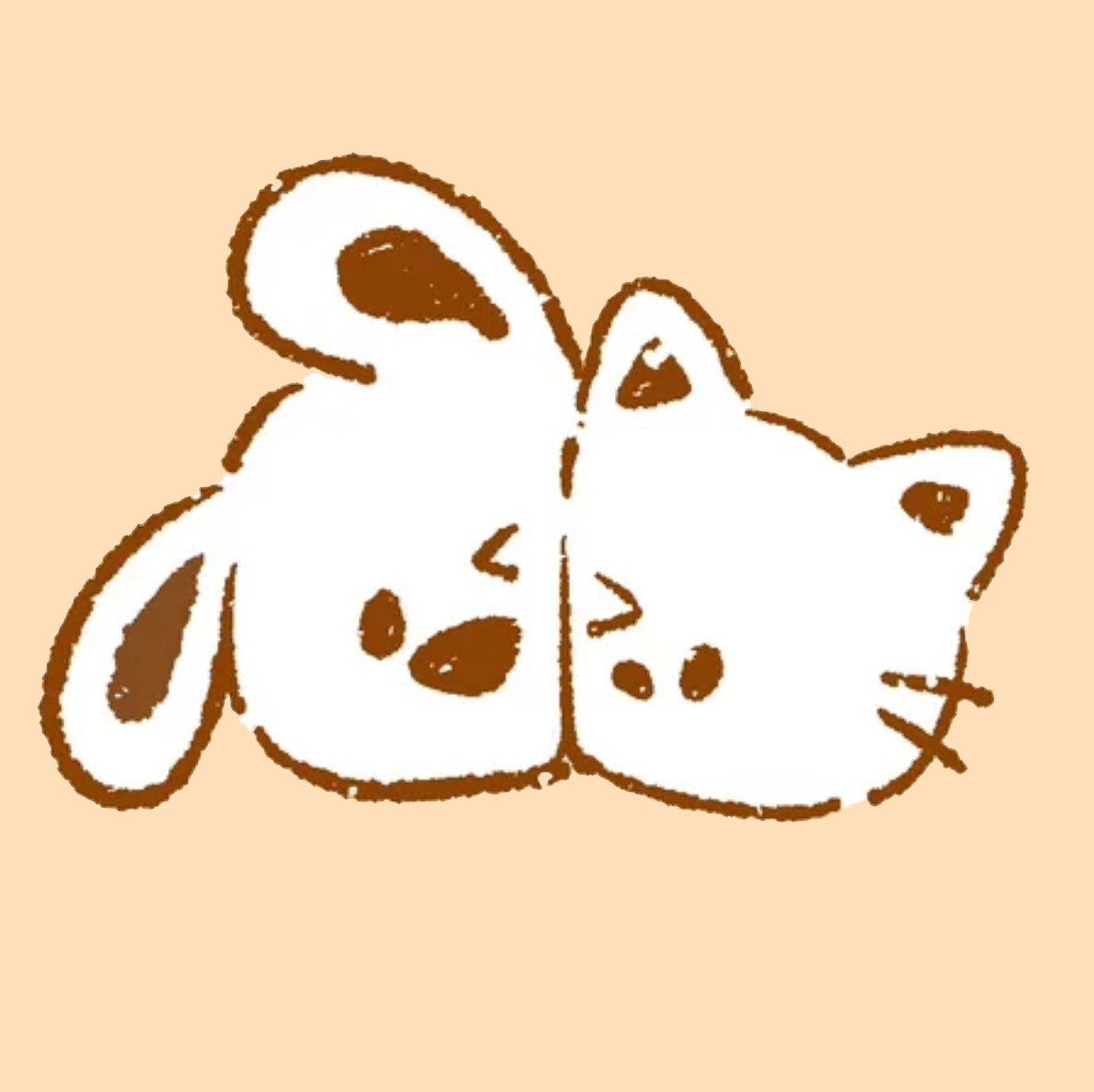 小阳爱猫狗