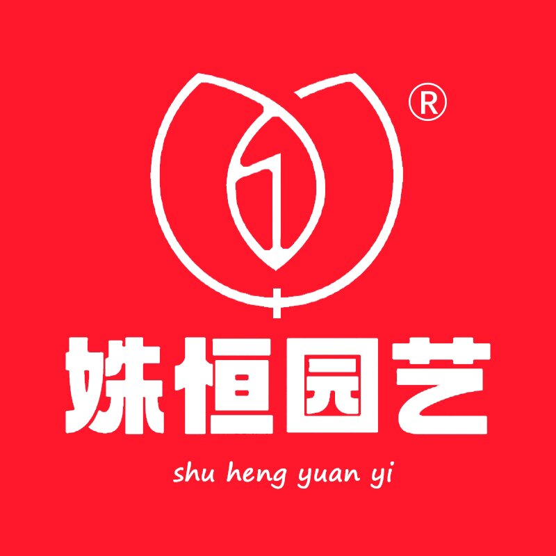 伊人如水姝恒专卖店