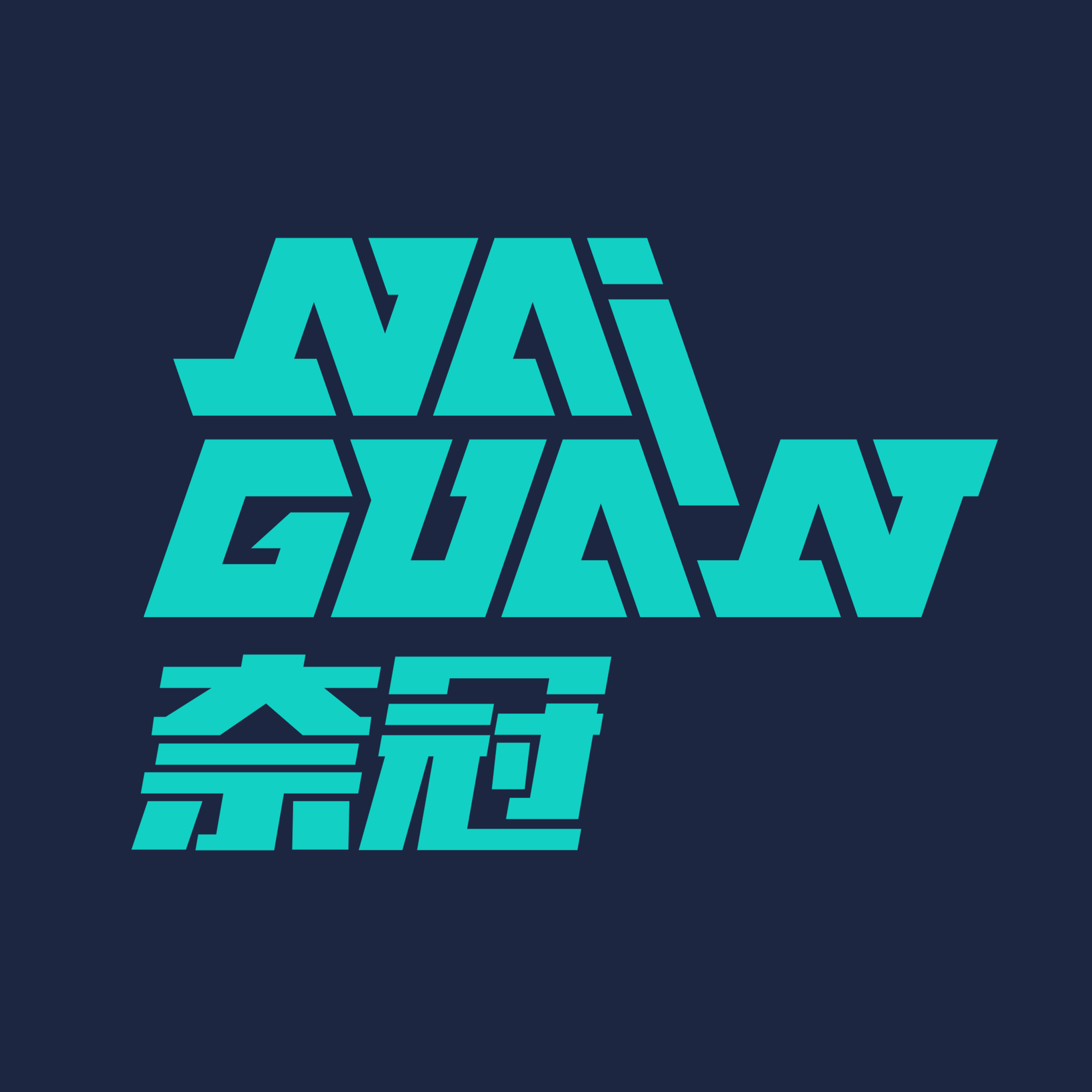 奈冠旗舰店