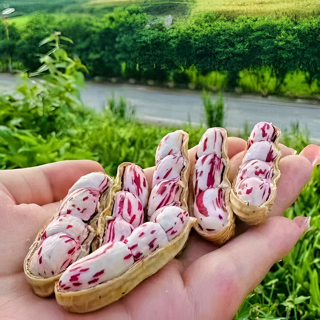 醉鲜农业