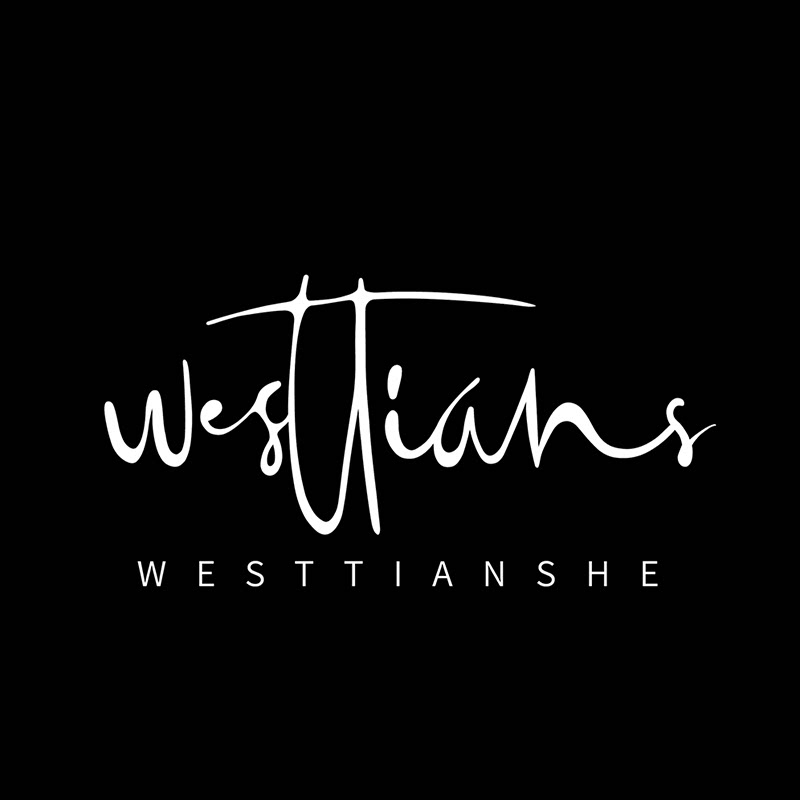 西田设WESTTIANSHE