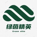 绿茵精英