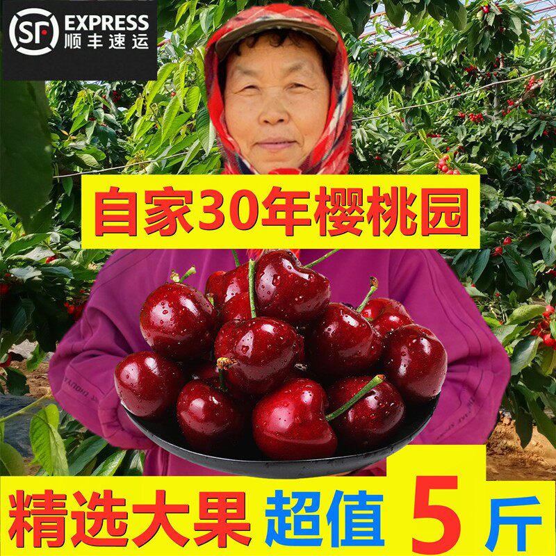 大连樱桃东哥