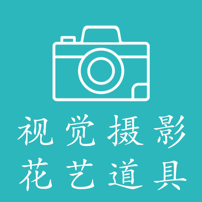 视觉摄影花艺道具