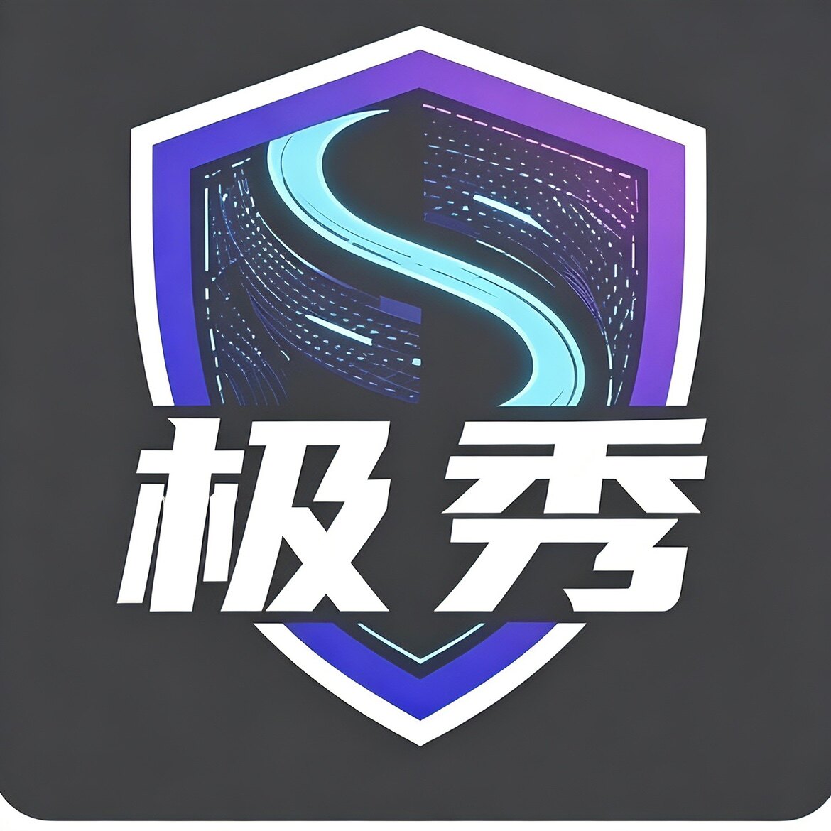 极秀数码