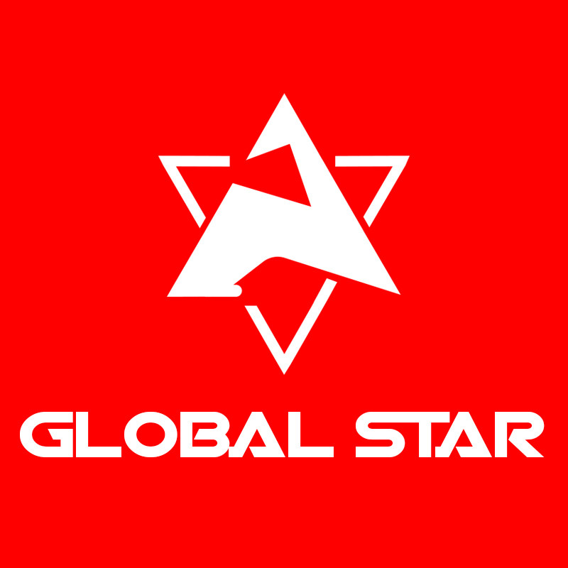 GLOBAL STAR健身装备店