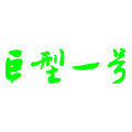 巨型一号旗舰店