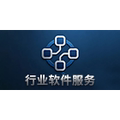 行业软件服务工程