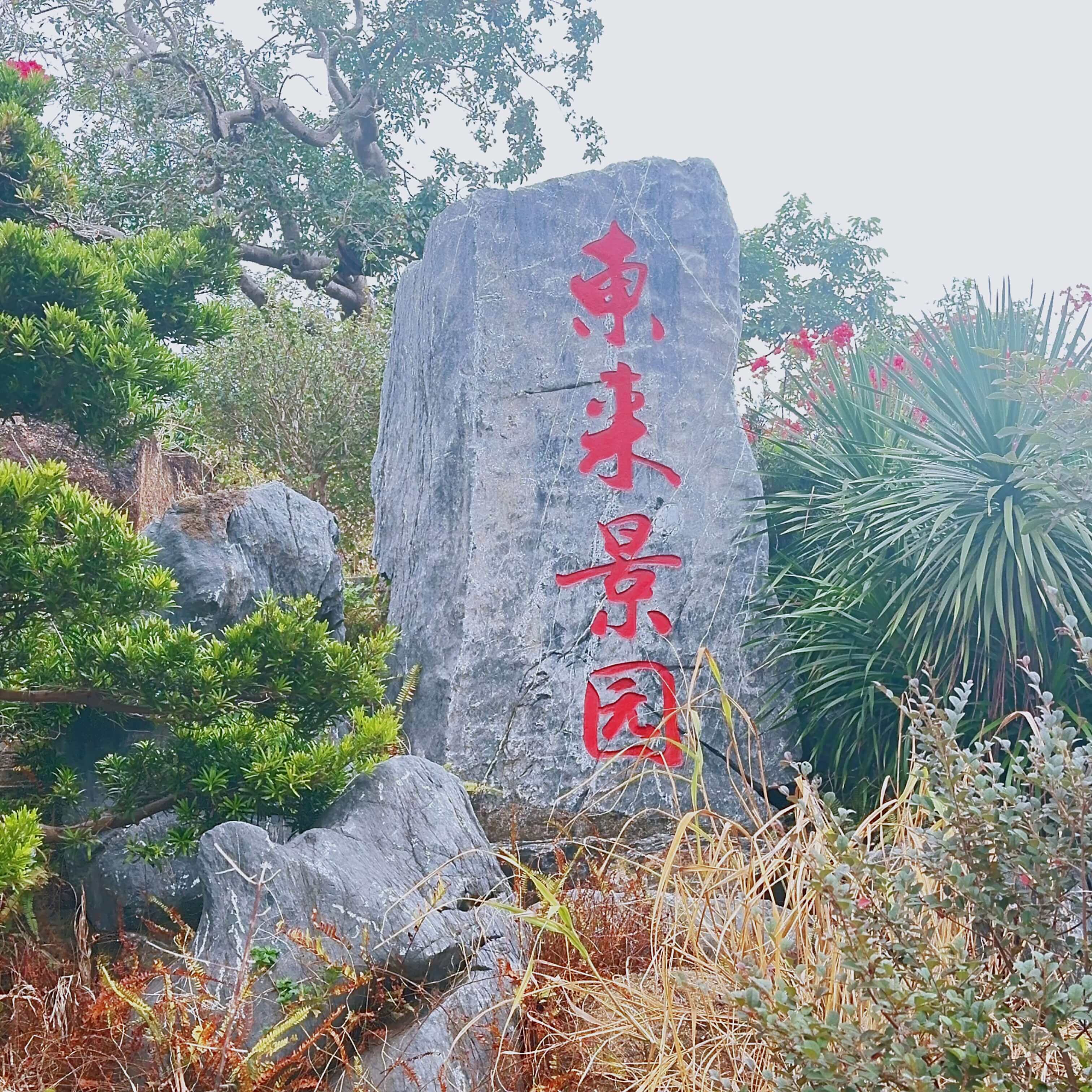 东来盆景园