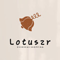 lotuszr的小店