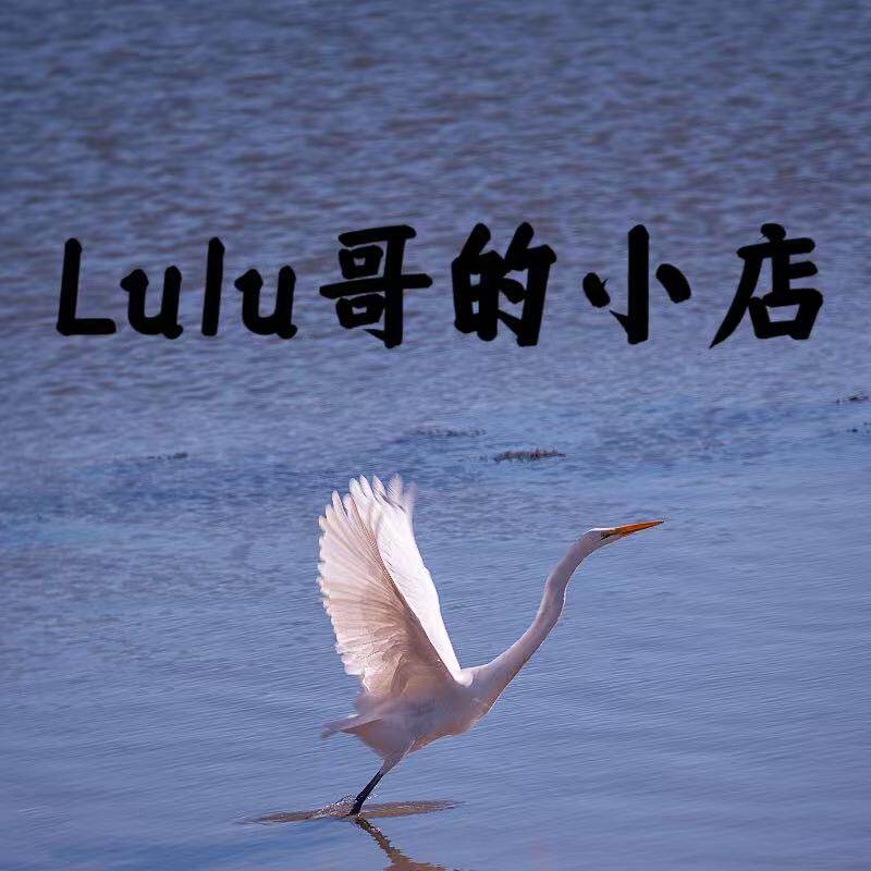 LULU哥的小店