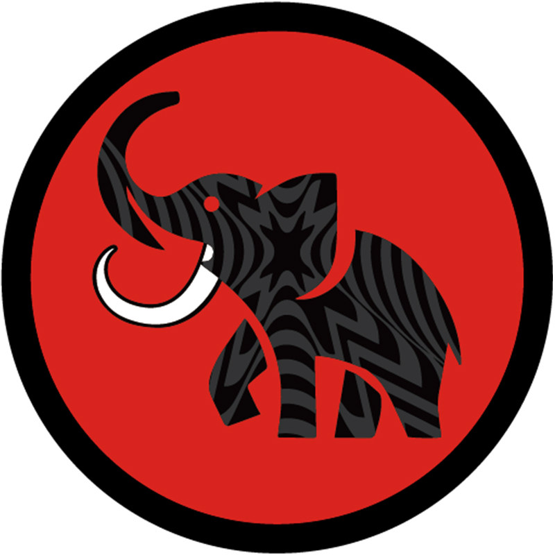 LIONMUX狮犸象 店铺LOGO