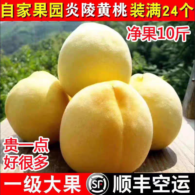 炎陵黄桃果园直发