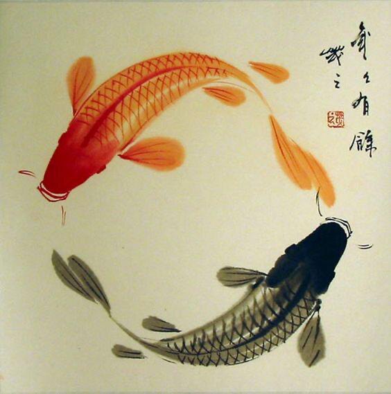 丰盛水产农资