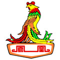 上海凤凰高端自行车特营店 店铺LOGO