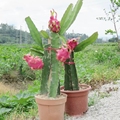优品质诚信商家