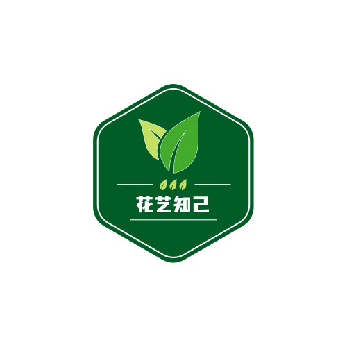 花艺知己仿真绿植专销