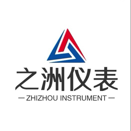 之洲仪表 店铺LOGO