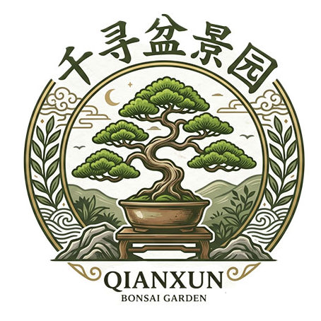 千寻盆景园官方店