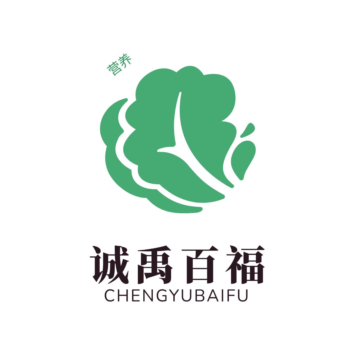 诚禹百福官方店