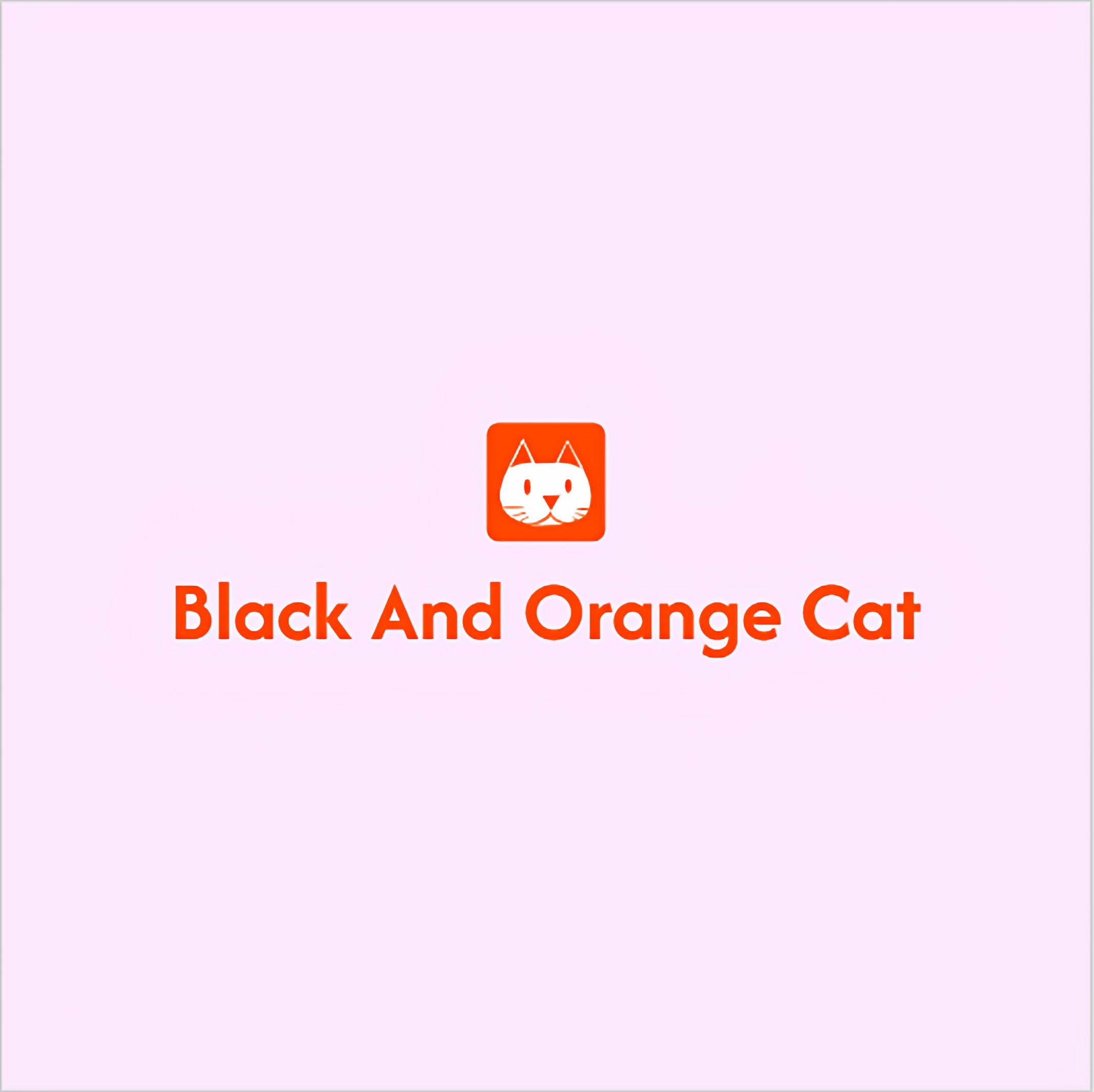 橘色黑猫