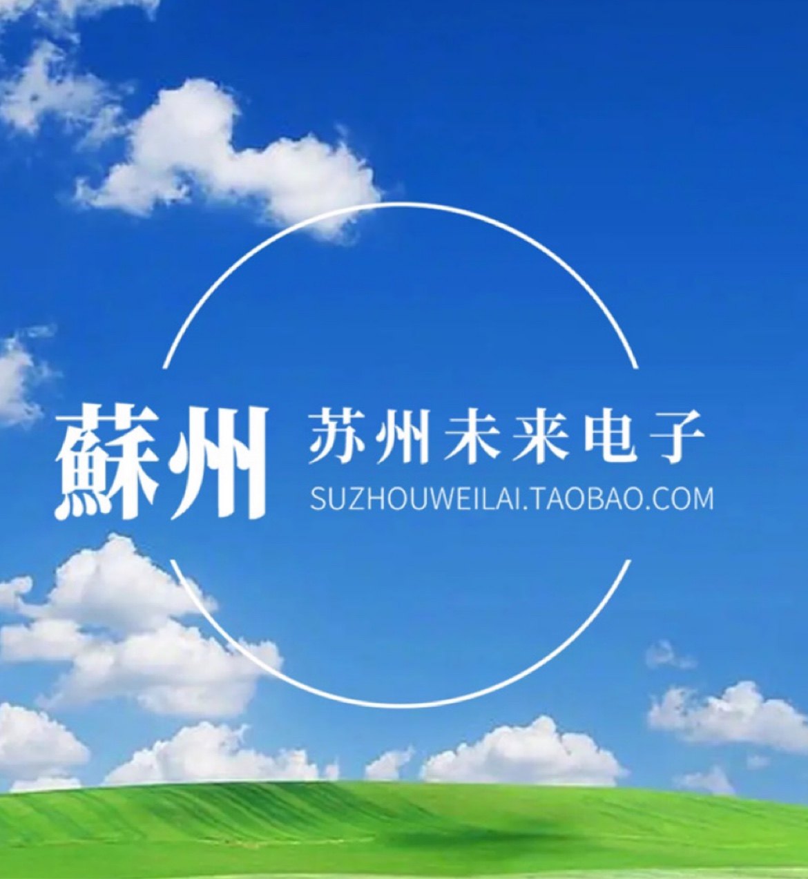 苏州未来电子
