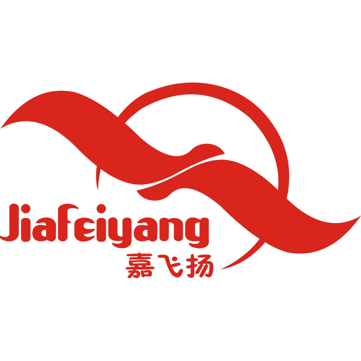 嘉飞扬食品