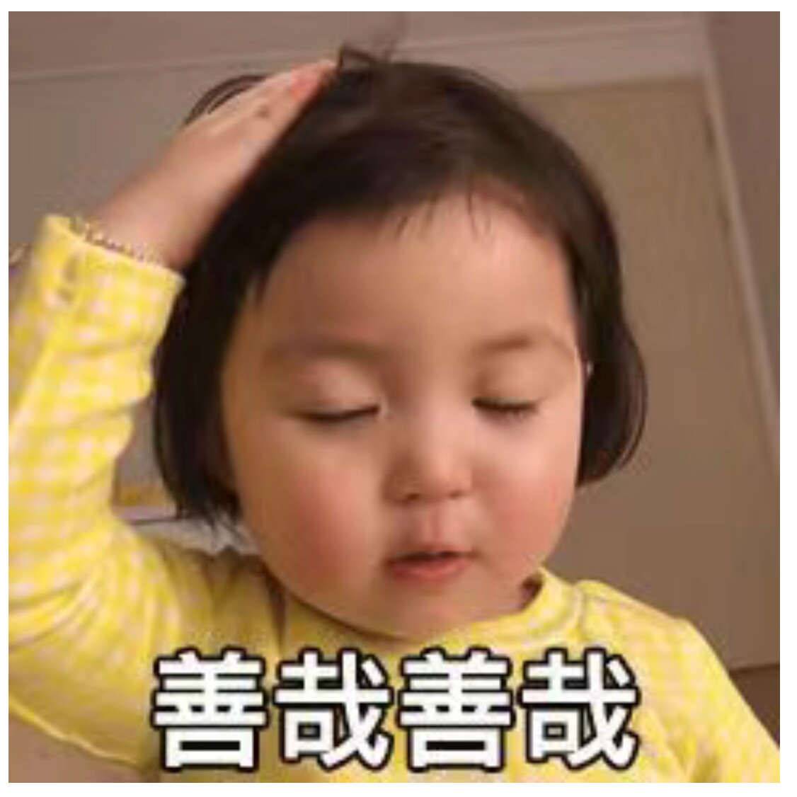 莱壳Liker自制