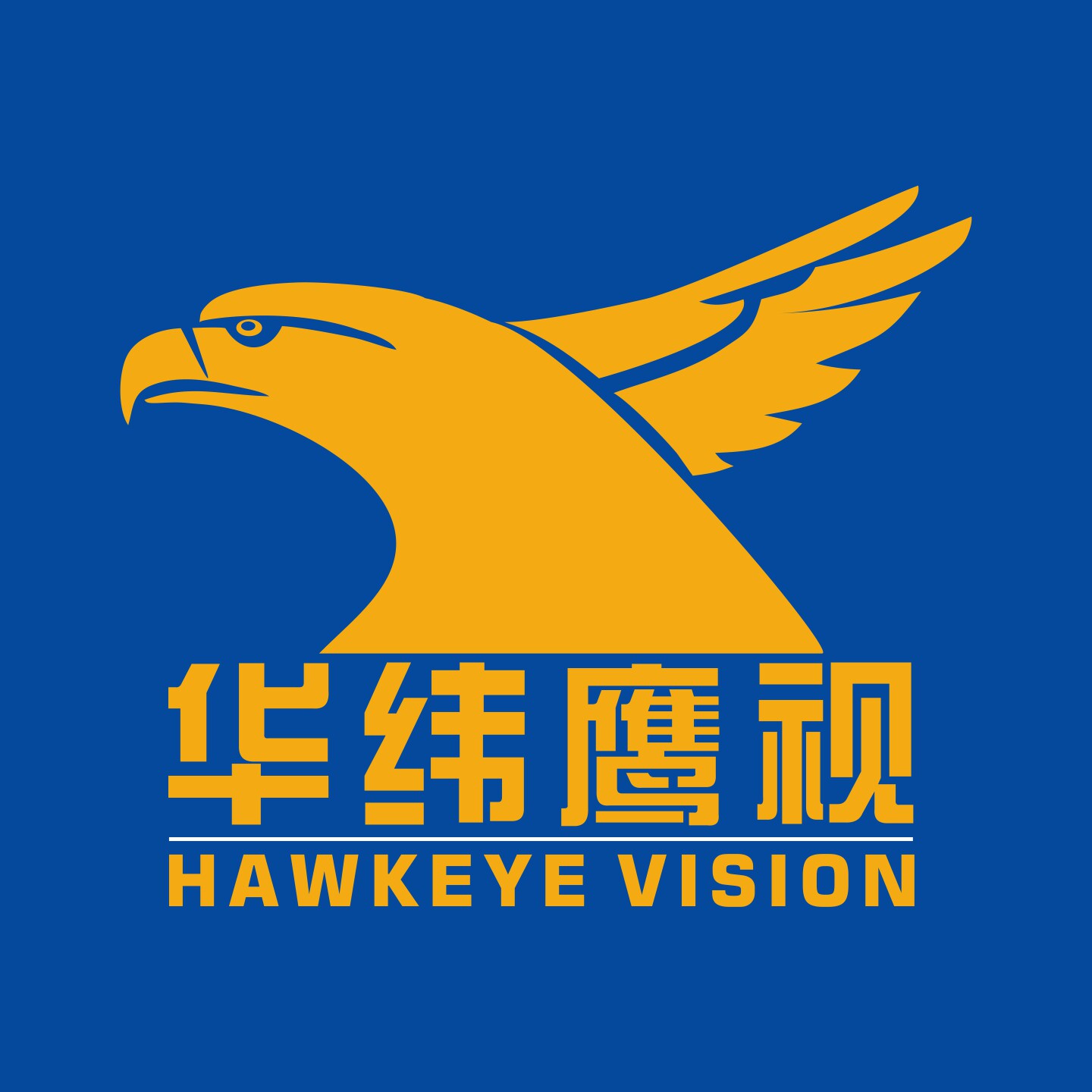 华纬鹰视企业店