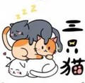 三只猫Meow