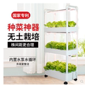 TOM优选水培