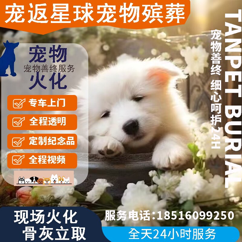 上海宠返星球宠物火化殡葬善终机构