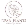 Dear plants