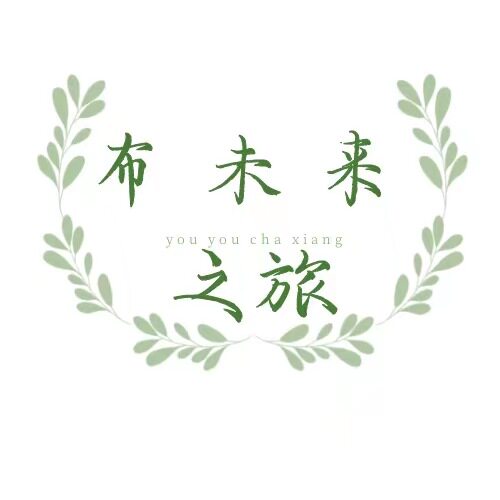 布未来之旅 店铺LOGO