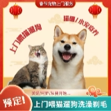小白托宠所