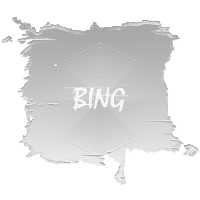 BING冰多原创独家设计