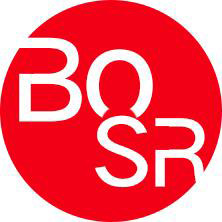 bosr旗舰店 店铺LOGO