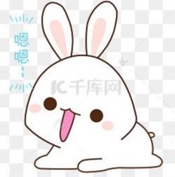 阳光小玉全球严选