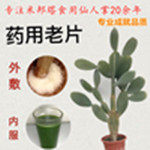 江苏食用仙人掌种植基地