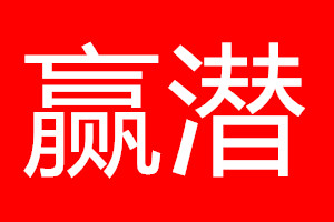 赢潜旗舰店