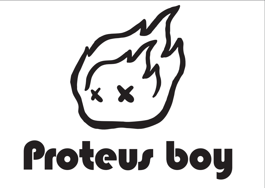 ProteusBoy旗舰店