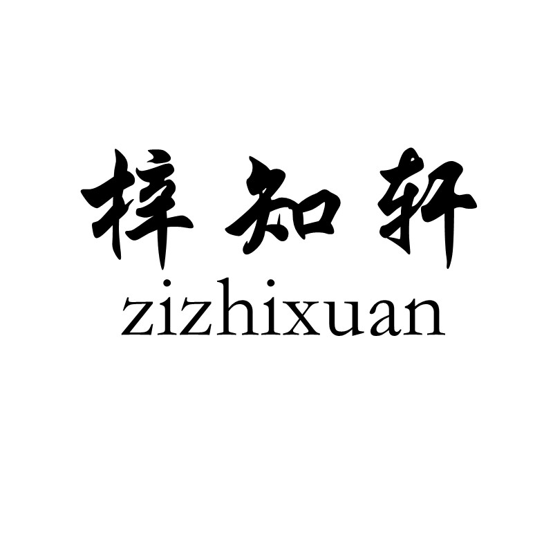 上海梓知轩知识产权服务