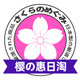 樱之惠日淘严选
