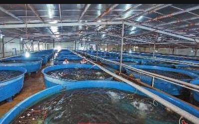 华东水族养殖基地