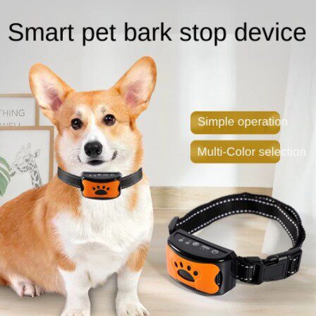 Ali Pets Store