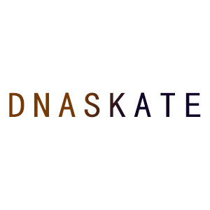 DNASKATE自营店